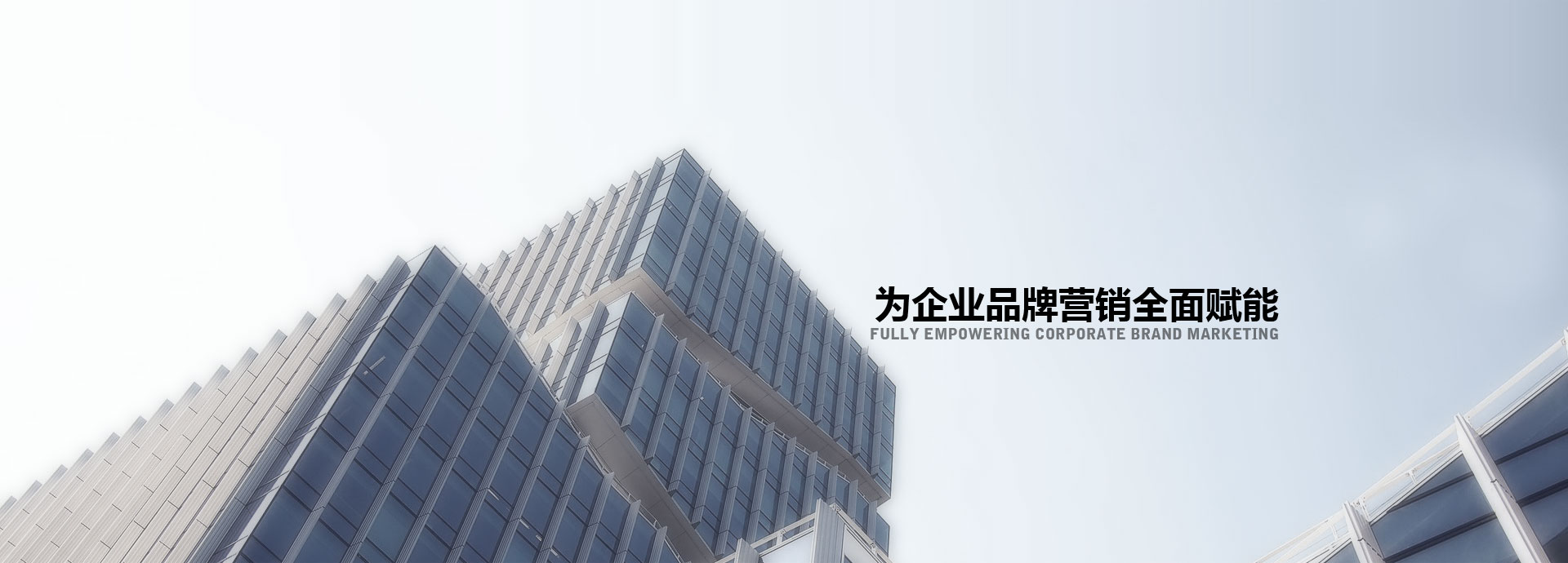 公司介绍
