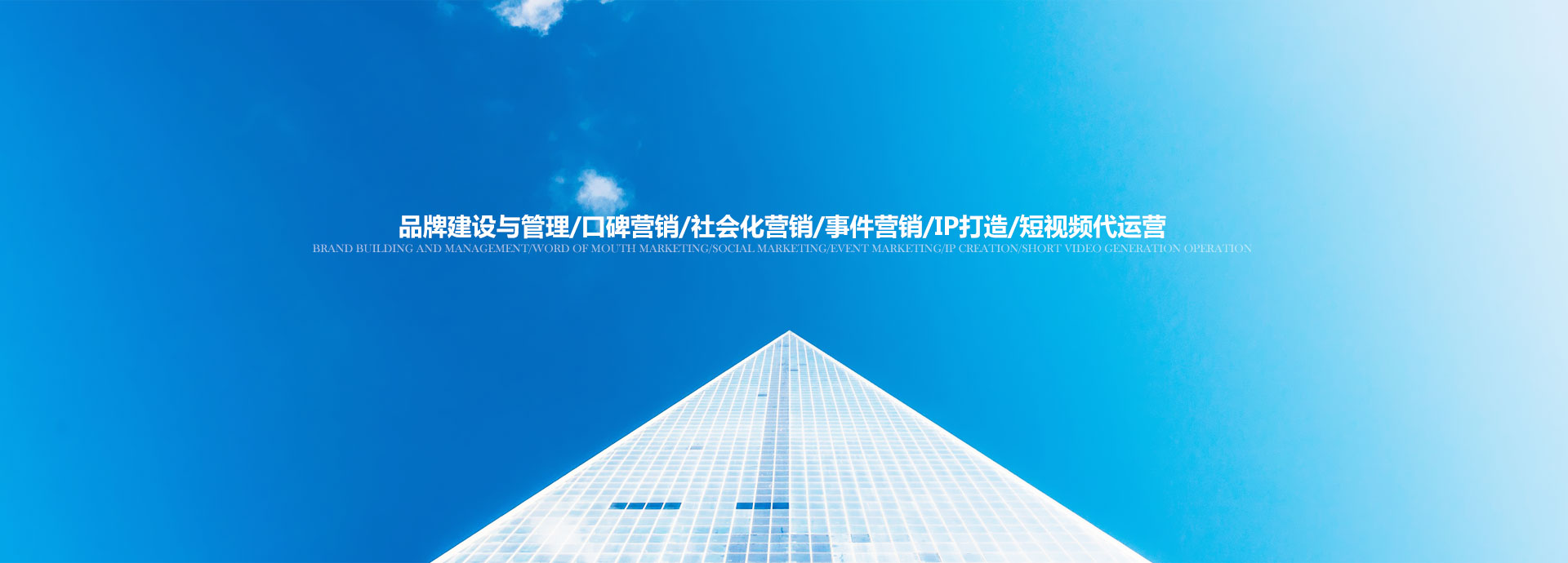 公司业务
